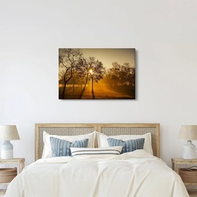 Napkelte kép (90x60 cm)