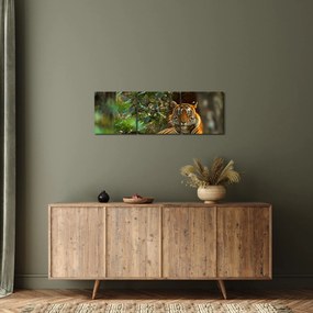 Pihenő tigris képe (órával) (90x30 cm)