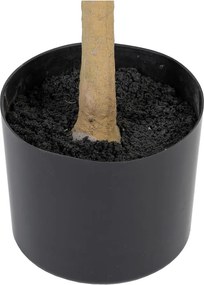 Olajfa műnövény (magasság 112 cm) Olive Tree – Ixia