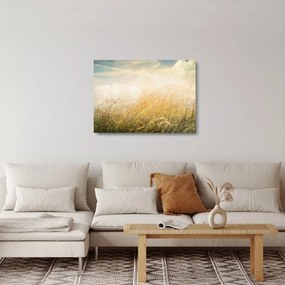 Kép - Mező ősszel (üvegen) (70x50 cm)