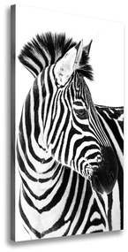 Vászonkép Zebra hó ocv-121577688