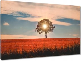 Vászonkép 90x60 Kilátás Tájkép