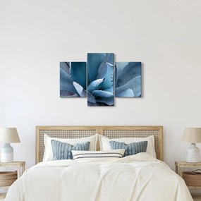 Kép - Agave (90x60 cm)