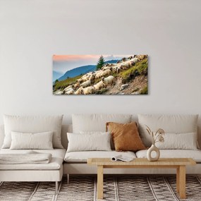 Kép - Egy nyáj birka (120x50 cm)