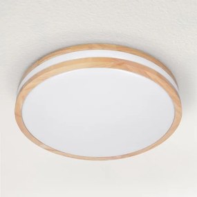 Brilagi - MOLINA LED 48W 230V 3000-6500K állítható mennyezeti lámpa + távirányít