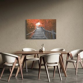 Kép - Lépcsők a természetben, narancssárga (90x60 cm)