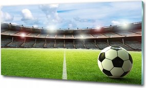 Kép akril üvegen Labda a gyepen