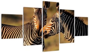 Kép - zebra (125x70cm)