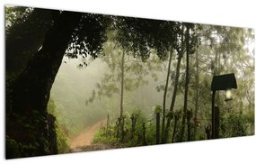 Reggeli köd képe (120x50 cm)