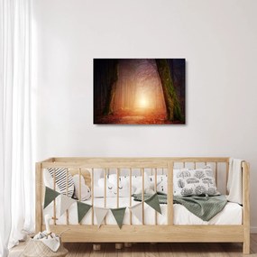Őszi erdő képe a ködben (üvegen) (70x50 cm)