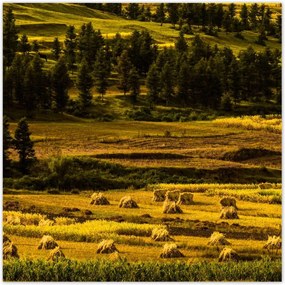 Poszterek 100x100 Tájkép Látvány