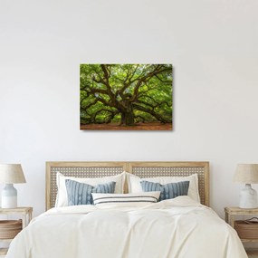 Üveg kép - Zöld fa (70x50 cm)