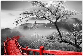 Poszterek 120x80 Virágzó cseresznye Japán