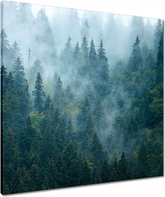 Vászonkép 60x60 Erdő a ködben Utazás