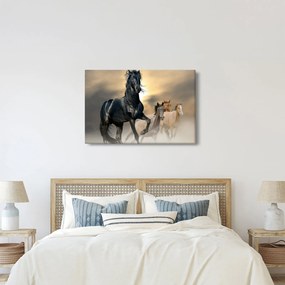 Kép - Lovak (90x60 cm)