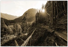 Poszterek 155x105 Szépia tájkép Szépia