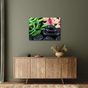 Kép - Kövek és orchideák (70x50 cm)