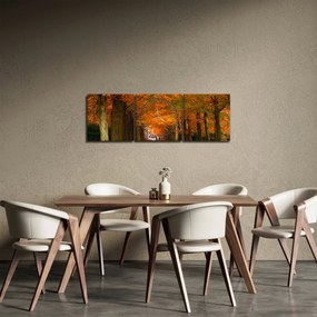 Kép - A Avenue of fák ősszel (órával) (90x30 cm)