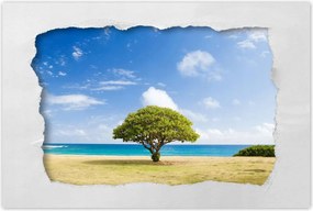 Poszterek 60x40 Tåjkép fåval