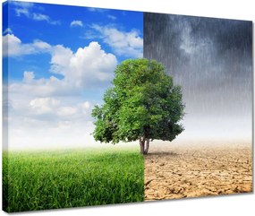 Vászonkép 40x30 Esős évszak