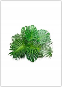 Poszterek A4 Pion Monstera Lyukas levelek