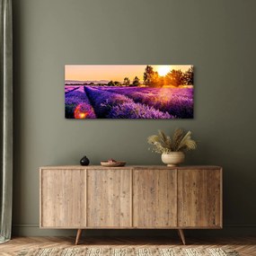 A levendula mező képe (120x50 cm)