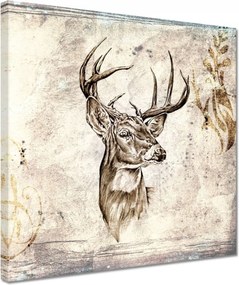 Vászonkép 30x30 Szarvas agancsok