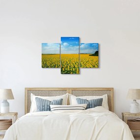 Kép - napraforgó (90x60 cm)