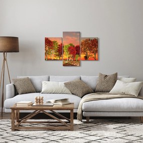 Kép - Színes fák (90x60 cm)