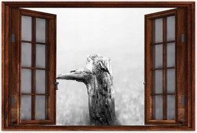 Poszterek 60x40 Tengerpart Gyökér Homok