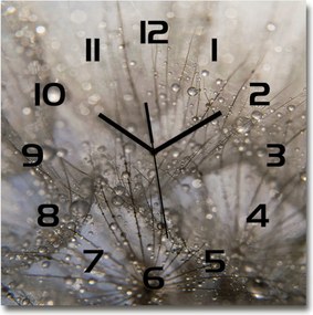 Modern üveg falióra Pitypang mag 60x60cm