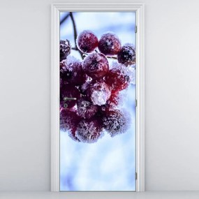 Fotótapéta ajtóra - Jeges gyümölcs (95x205cm)