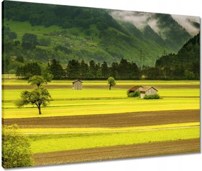 Vászonkép 80x60 Zöld őzek