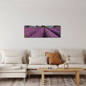 Kép - Levendula mező és hegyek (órával) (90x30 cm)