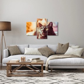 Fekete macska képe (90x60 cm)