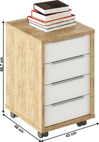 Konténer, artisan tölgy/fehér, RIOMA TYP 14