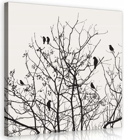 Vászonkép 80x80 Fekete-fehér fák madarak tél minimalizmus grafika nyugalom