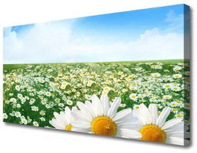 Vászonfotó Daisy mezei virágok Field 100x50 cm