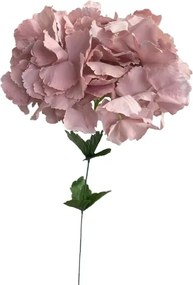 Hortenzia Termékfej NAGY23cm Nagy viråg mƱviråg