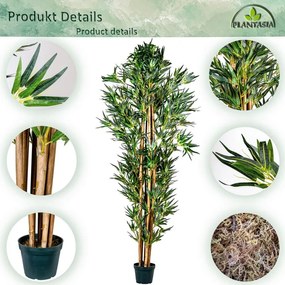 PLANTASIA Műnövény bambusz 190 cm