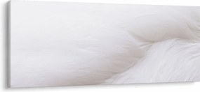 Kép - A toll részlete (120x50 cm)