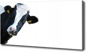 Fotótapéta nappaliba Tehén 120x60 cm