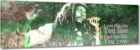 Vászonkép 60x20 Bob Marley egy koncerten