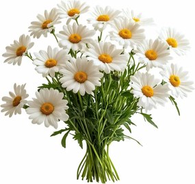 EMI Chamomile aromapárna 50x70 cm