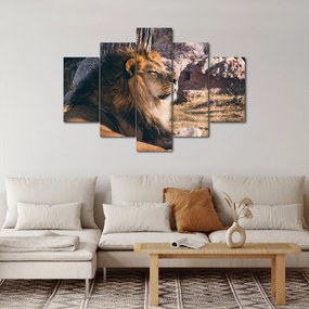 Egy fekvő oroszlán képe (150x105 cm)