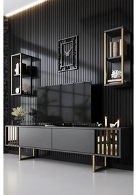 TV szekrény Gold Line - Anthracite, Black