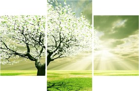 Fa képe a réten (90x60 cm)