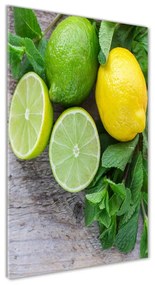 Üvegfotó Lime és citrom osv-81072206