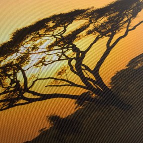 Kép - afrikai szavanna (90x60 cm)