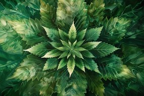 Canvas Mandala Vászonkép Kenderlevél Zöld Természet Botanika 60x40